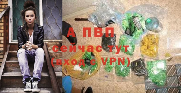 ПСИЛОЦИБИНОВЫЕ ГРИБЫ Корсаков