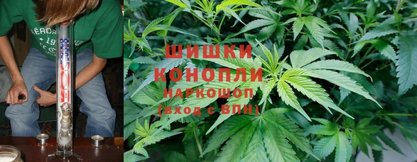ПСИЛОЦИБИНОВЫЕ ГРИБЫ Корсаков
