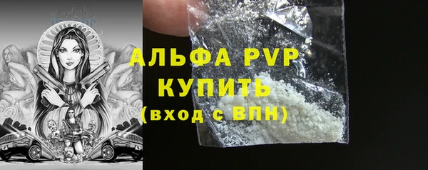 ПСИЛОЦИБИНОВЫЕ ГРИБЫ Корсаков