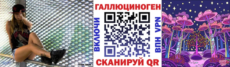 Купить где  Гай  Псилоцибиновые грибы GOLDEN TEACHER 